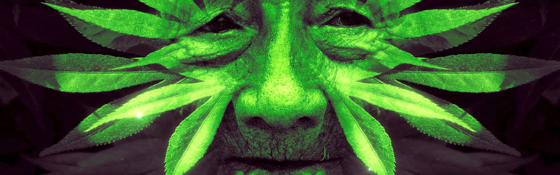 Groen fantasie gezicht van bladeren - cc KELLEPICS pixabay fantasy 3340888